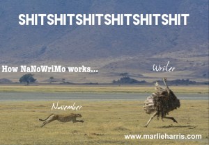 How NaNoWriMo works...